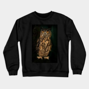 Portrait Of An Eagle Owl Crewneck Sweatshirt